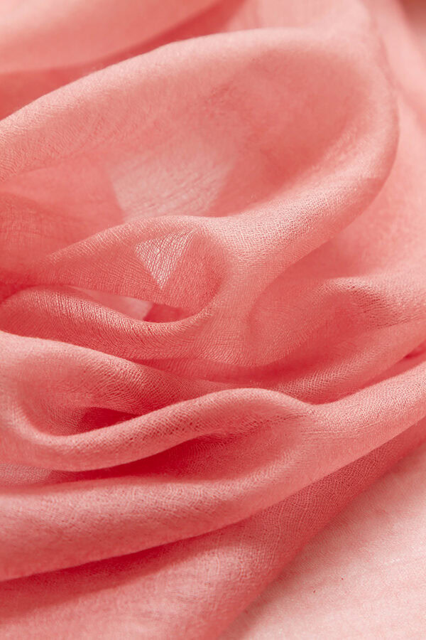 Featherlight Rose Cashmere Scarf