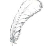 Feather 1