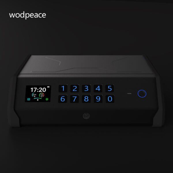 Wodpeace Portable Personal Safe Security Box